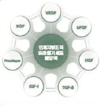 565가지 단백질 성장인자 — 브로셔 수록 이미지